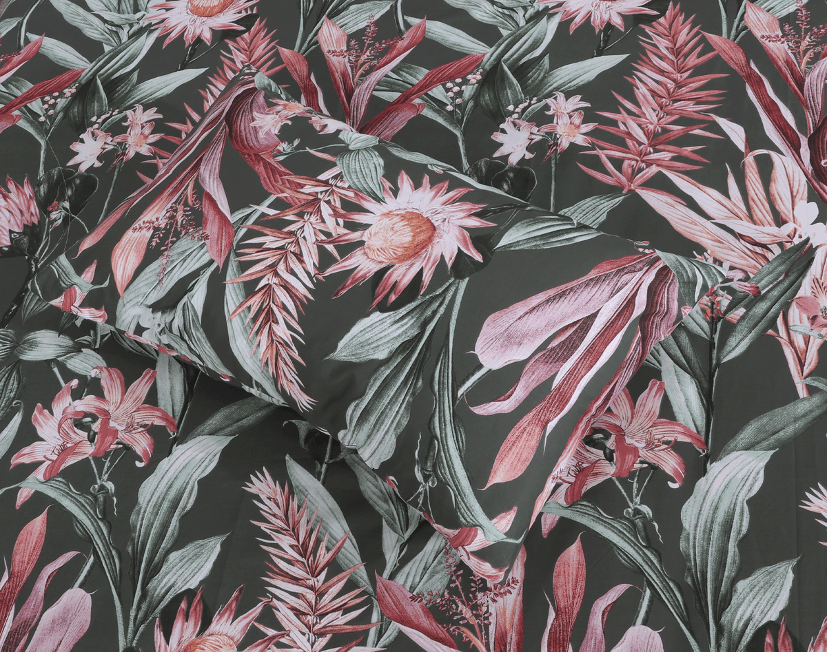 Enchanted Noir Cotton Percale Single Bedsheet Set